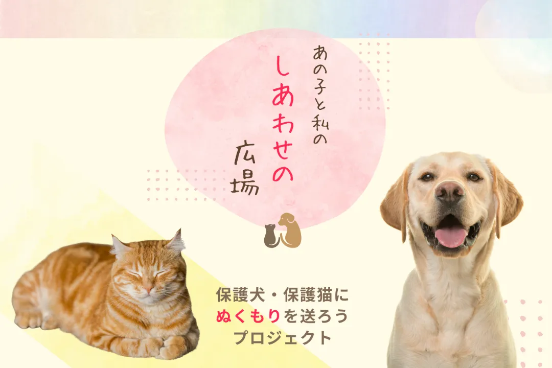 アニドネ様協業プロジェクト